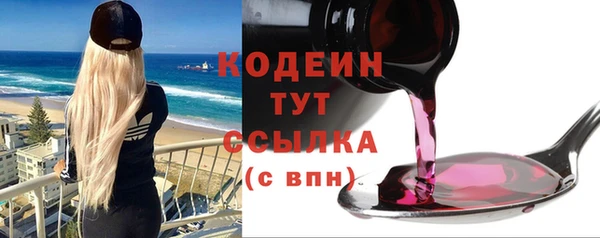 гидра Покачи