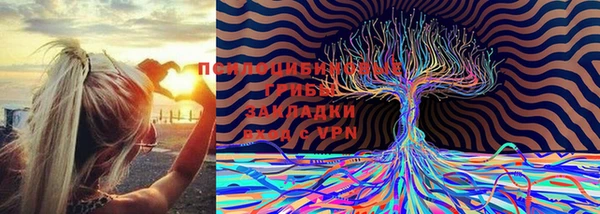 гидра Покачи