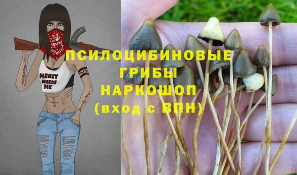 гидра Покачи