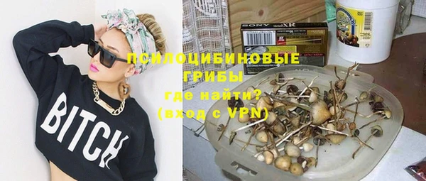 гидра Покачи