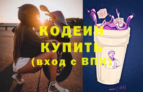 гидра Покачи