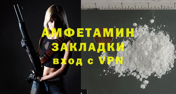гидра Покачи