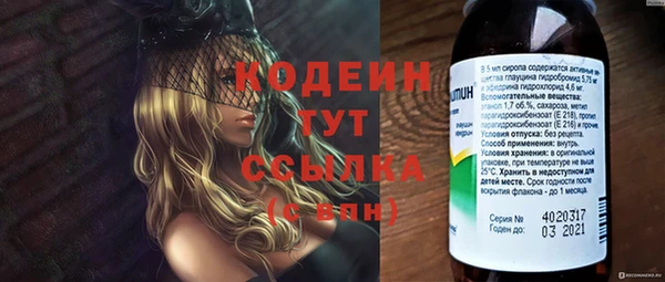 гидра Покачи