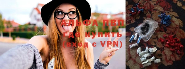 гидра Покачи