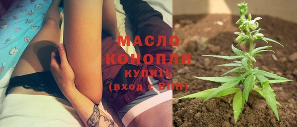 гидра Покачи