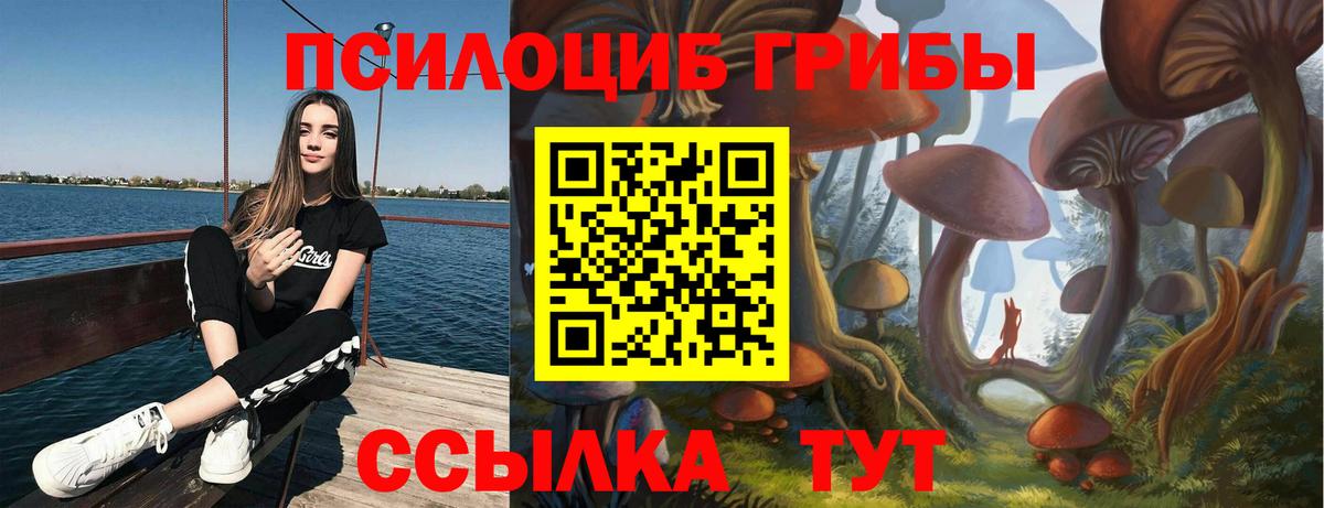 Псилоцибиновые грибы MAGIC MUSHROOMS  дарнет шоп  Заводоуковск 