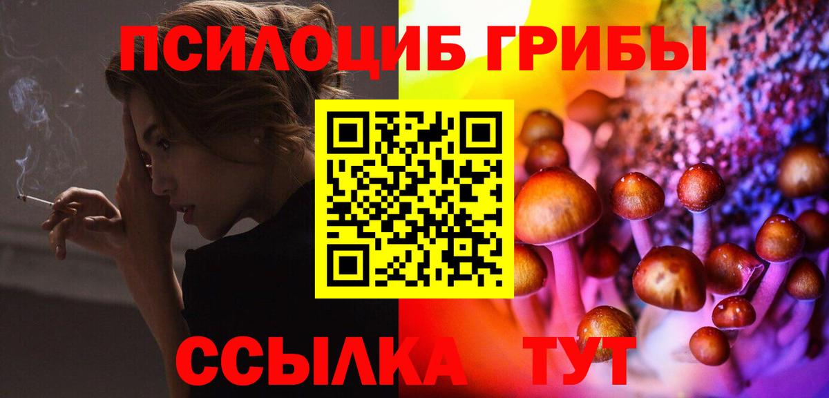 Псилоцибиновые грибы мицелий Заводоуковск