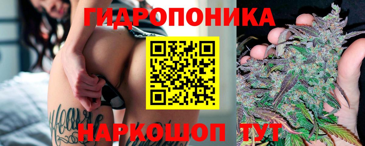 Шишки марихуана гибрид Заводоуковск